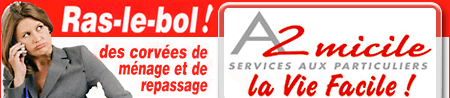 Menage, repassage, garde d'enfants, petit jardinage, bricolage � domicile
